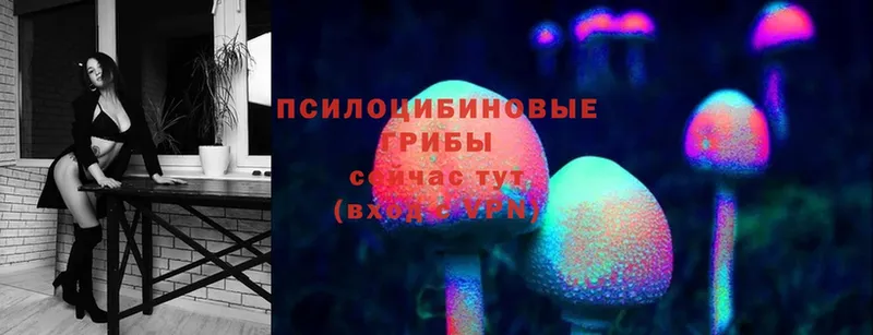 Псилоцибиновые грибы Magic Shrooms  как найти   Курильск 